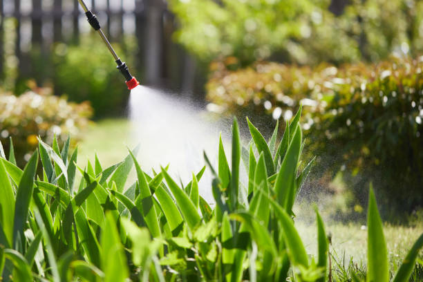 24/7 Emergency Mosquito Control experts in Swoyersville, PA