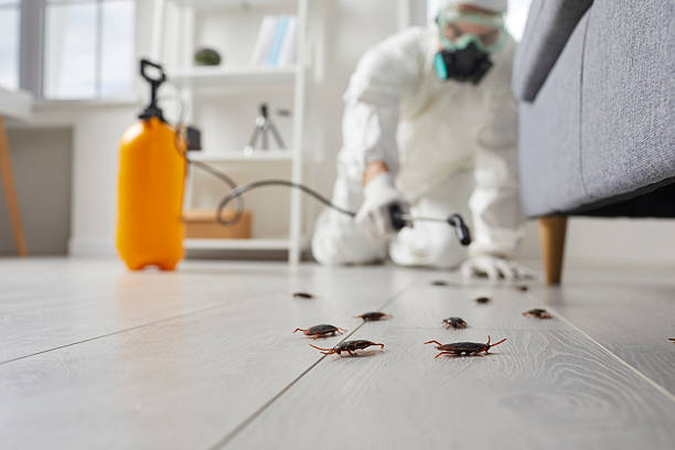 Trusted Fumigation Services service in Swoyersville, PA - Nex Pest Control