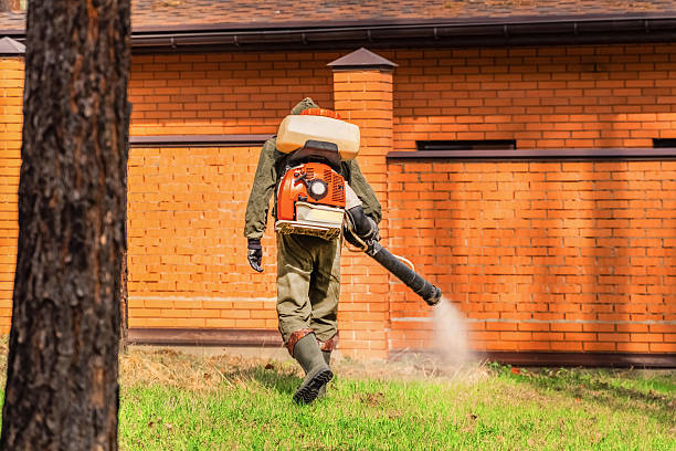 Trusted Termite Control service in Swoyersville, PA - Nex Pest Control